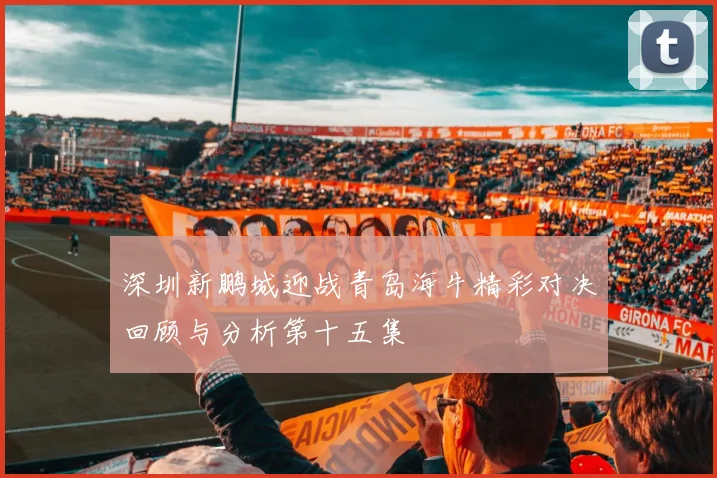 深圳新鹏城迎战青岛海牛精彩对决回顾与分析第十五集