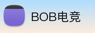 BOB电竞 Logo